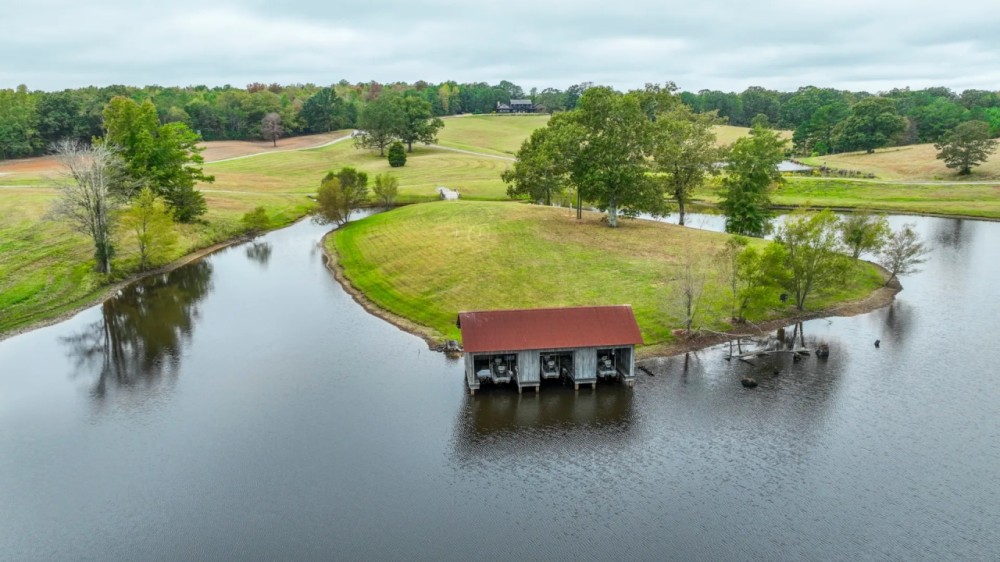 Rock Mountain Farms featured image