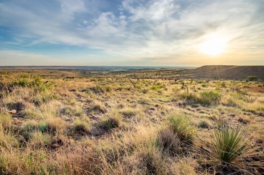 Lazy River Ranch featured image