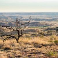 Lazy River Ranch images 3