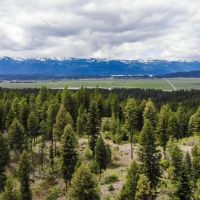 Warm Lake Recreation Land
