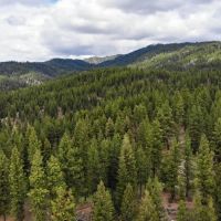 Warm Lake Recreation Land images 2