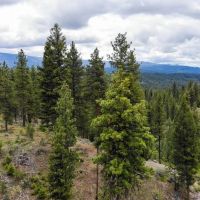 Warm Lake Recreation Land images 3