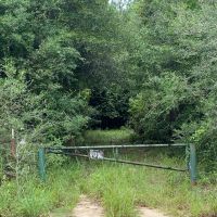 MS - Marion 9 acres - images 3