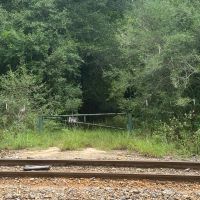 MS - Marion 9 acres - images 5
