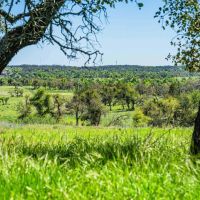 Gillespie County Hilltop Ranch N of Fredericksburg
