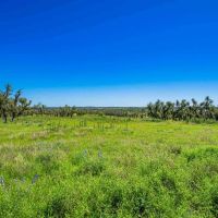Gillespie County Hilltop Ranch N of Fredericksburg images 2