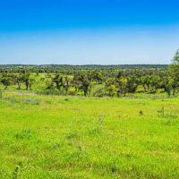 Gillespie County Hilltop Ranch N of Fredericksburg images 3