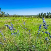 Gillespie County Hilltop Ranch N of Fredericksburg images 4