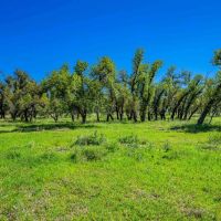 Gillespie County Hilltop Ranch N of Fredericksburg images 5