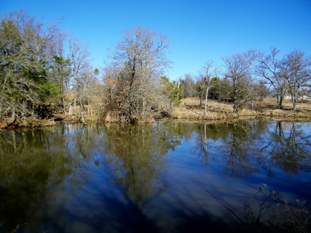 Hunt Fish Run Cattle or Horses and Build on this 39 Acres featured image