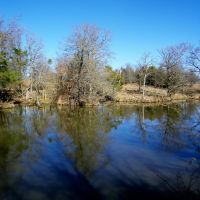 Hunt Fish Run Cattle or Horses and Build on this 39 Acres