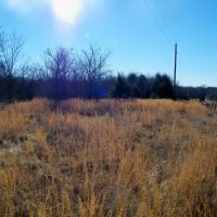 Hunt Fish Run Cattle or Horses and Build on this 39 Acres images 3