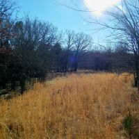 Hunt Fish Run Cattle or Horses and Build on this 39 Acres images 4