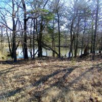 Hunt Fish Run Cattle or Horses and Build on this 39 Acres images 5