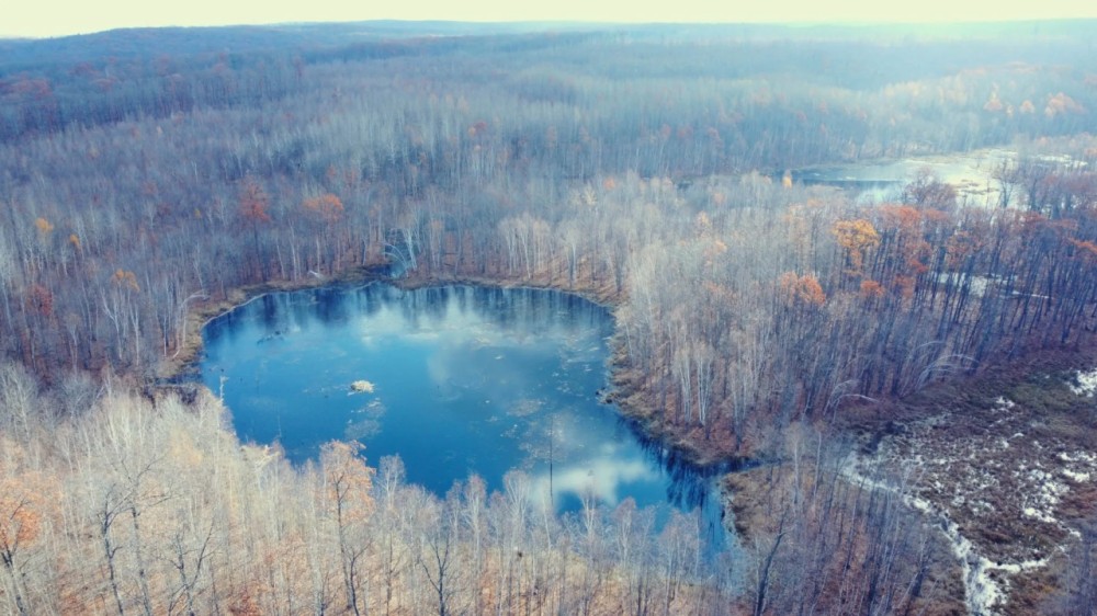 Sawyer County Wisconsin 407 Acres For Sale featured image