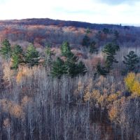 Sawyer County Wisconsin 407 Acres For Sale images 5