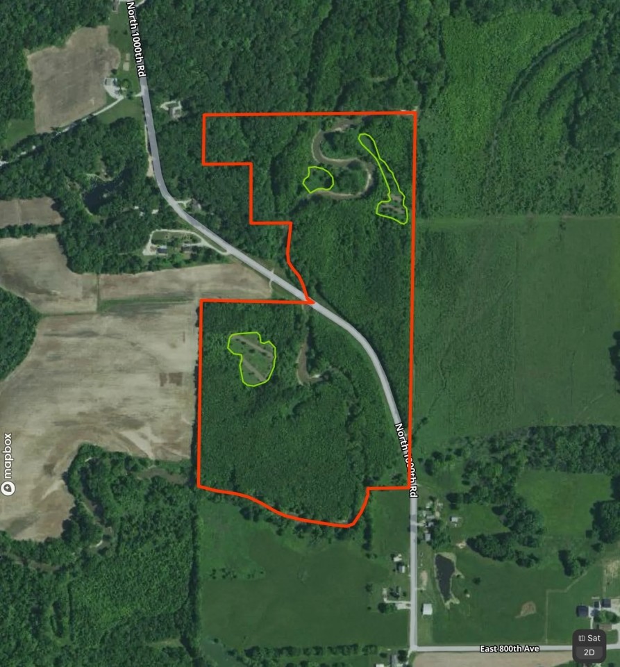 65 Acres of Recreational Ground in Effingham County featured image
