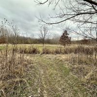65 Acres of Recreational Ground in Effingham County images 5