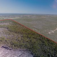 803 acres AG Land in Bay County images 4