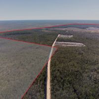 803 acres AG Land in Bay County images 5