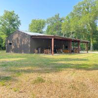 LA - Madison 480 acres - images 3