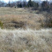 20 Acres for Hobby Farm Horses Homesite and Hunting images 4