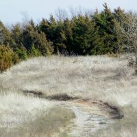 20 Acres for Hobby Farm Horses Homesite and Hunting images 5