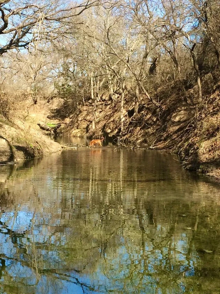 Resley Creek Getaway featured image