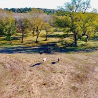 Resley Creek Getaway images 4