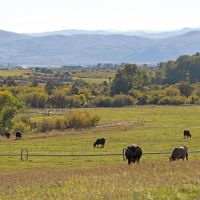 Deep Creek Wildlife Sanctuary images 4