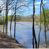 28 Acres in Catahoula Parish in Sicily Island LA
