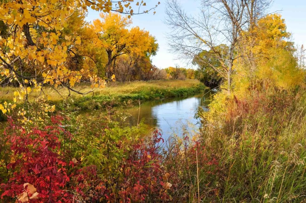 Tongue River Refuge featured image