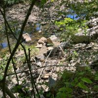 40 Acres For Sale in Leslie Ar images 4