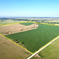 Greenwood County Diversified with Build Site