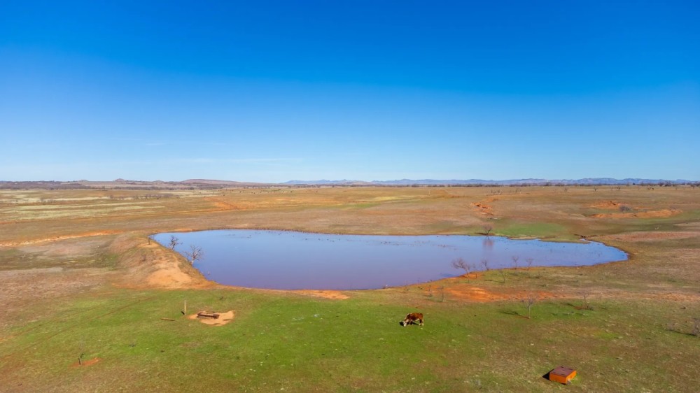 Luna y Estrella s Ranch featured image