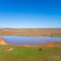 Luna y Estrella s Ranch