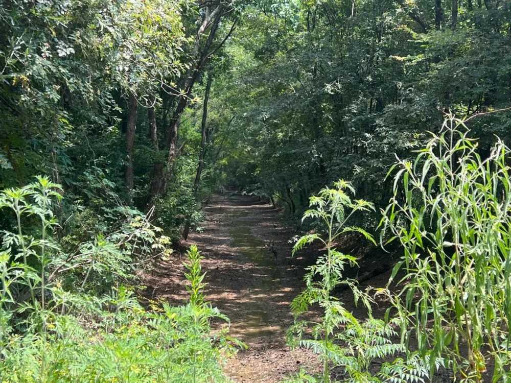 LA - Franklin 60 acres - featured image