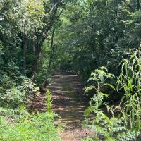 LA - Franklin 60 acres -