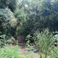 LA - Franklin 60 acres - images 2