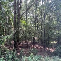 LA - Franklin 60 acres - images 3