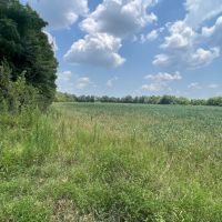 LA - Franklin 60 acres - images 4