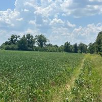 LA - Franklin 60 acres - images 5