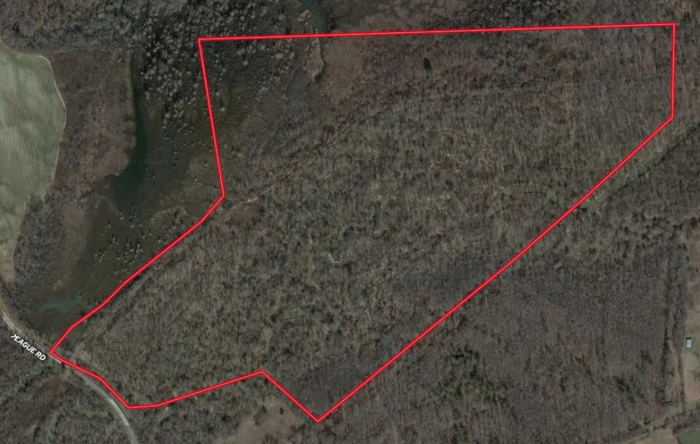Clover Creek Bottomland - 110 Acres featured image