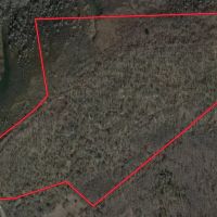 Clover Creek Bottomland - 110 Acres