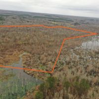 Clover Creek Bottomland - 110 Acres images 2