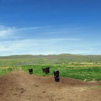 Little Rosie Ranch images 1