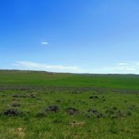 Little Rosie Ranch images 3