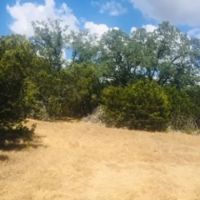First Frk images 3