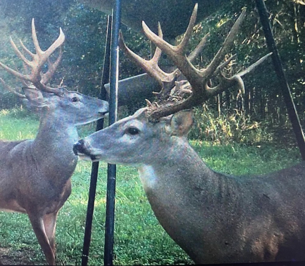 LA - Catahoula 247 acres - featured image