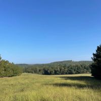 SOLD Millerville 42 - acres